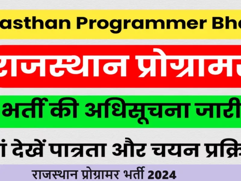 राजस्थान प्रोग्रामर भर्ती 2024