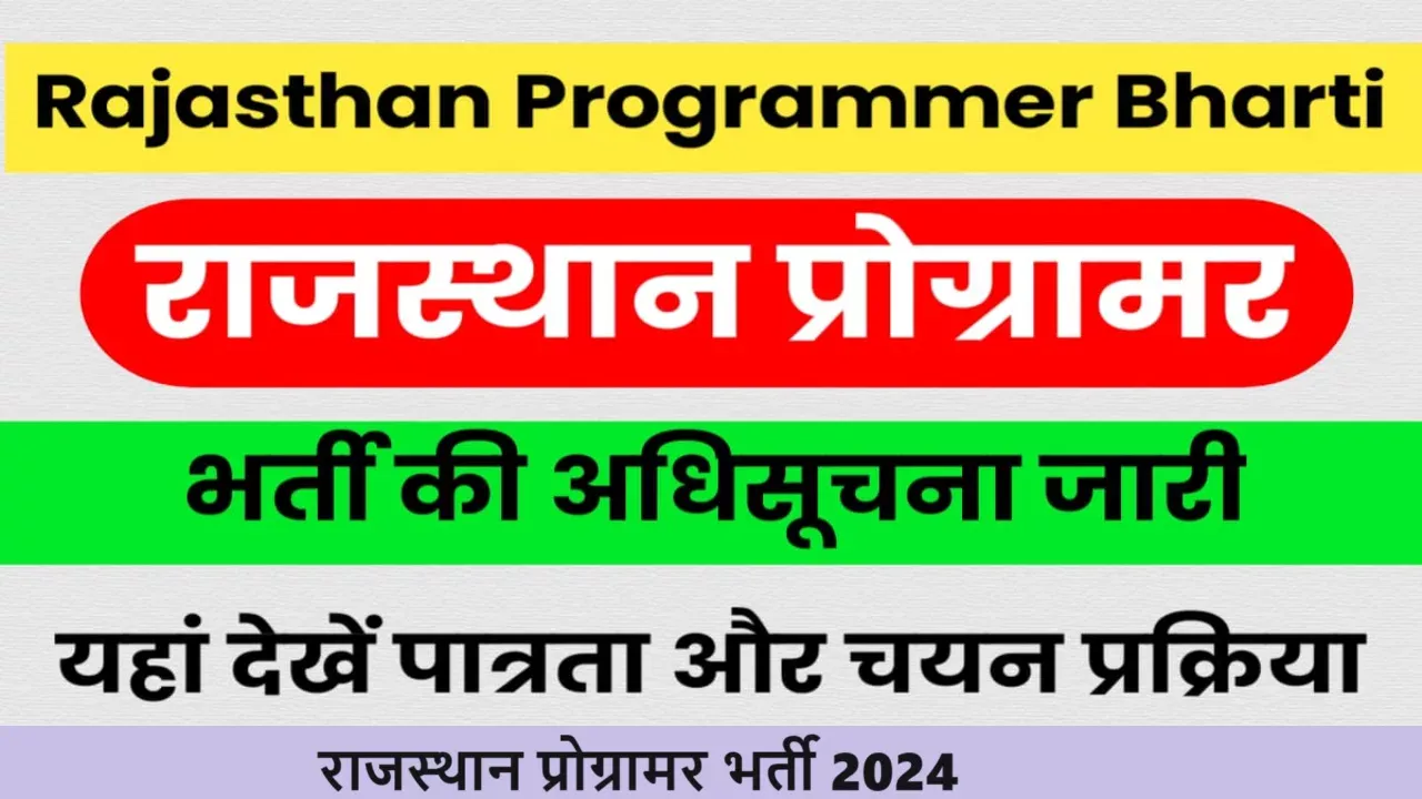 राजस्थान प्रोग्रामर भर्ती 2024